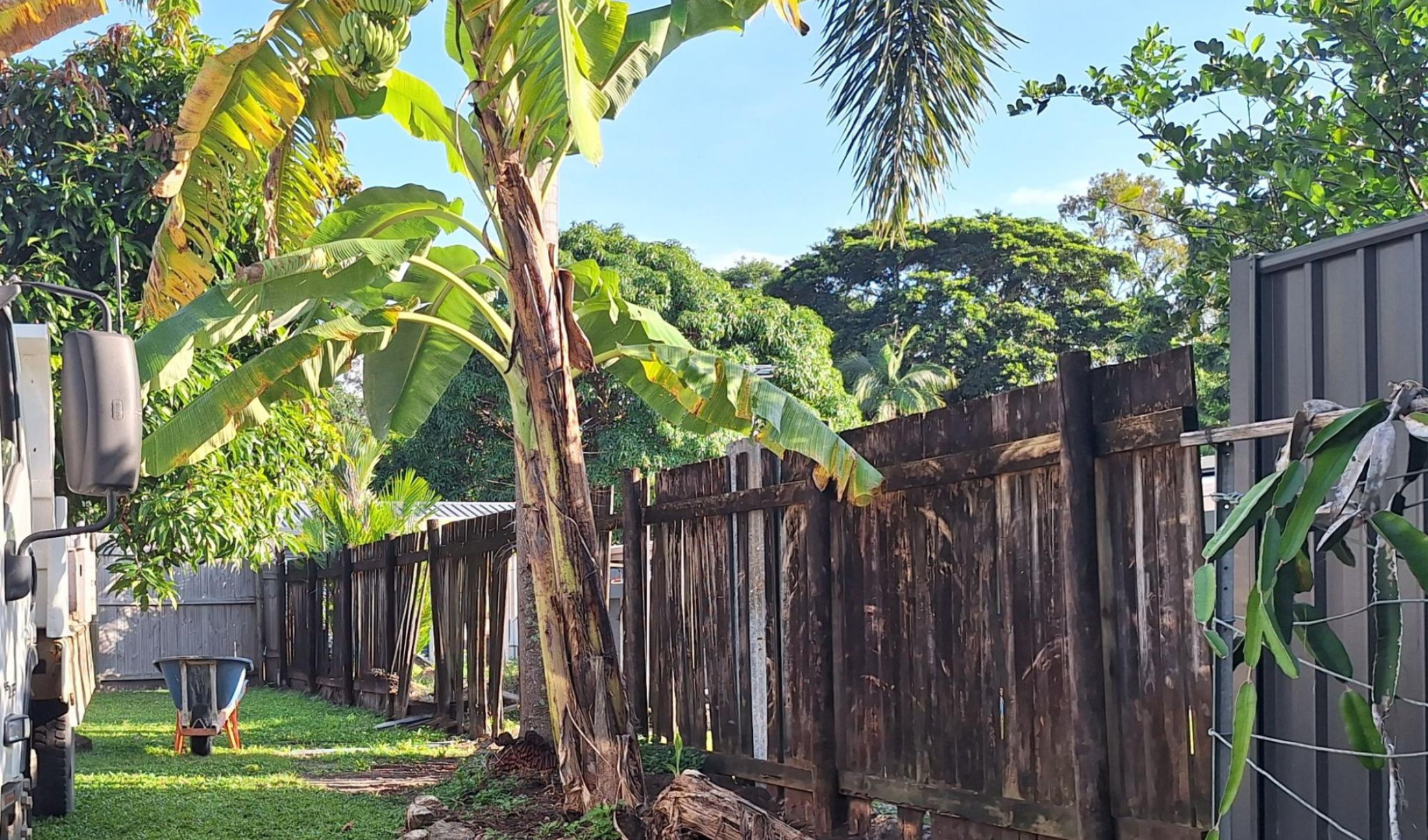 signs that the timber fence needs replacing